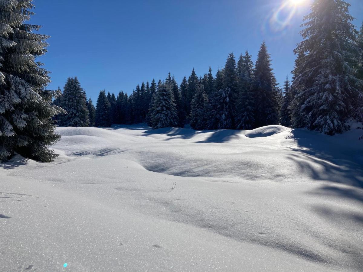 Apartmany Hacienda Boží Dar Buitenkant foto